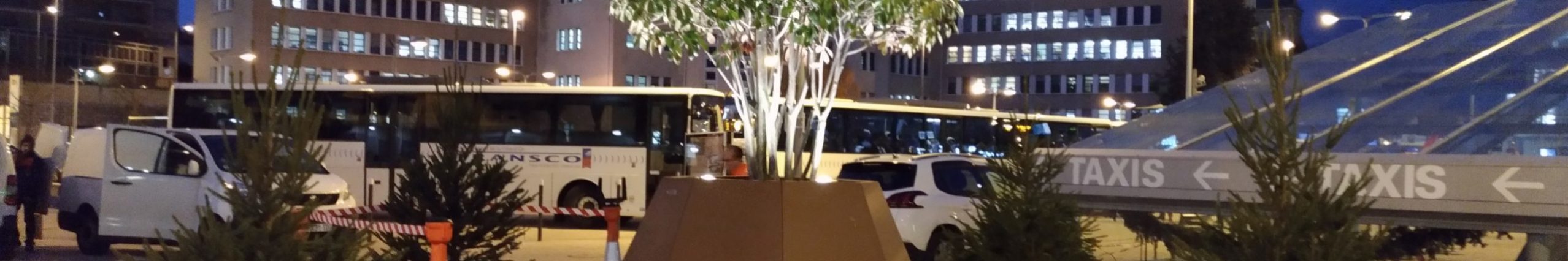 Dijon gare meuble métal exterieur mobilier urbain plante bac fleur